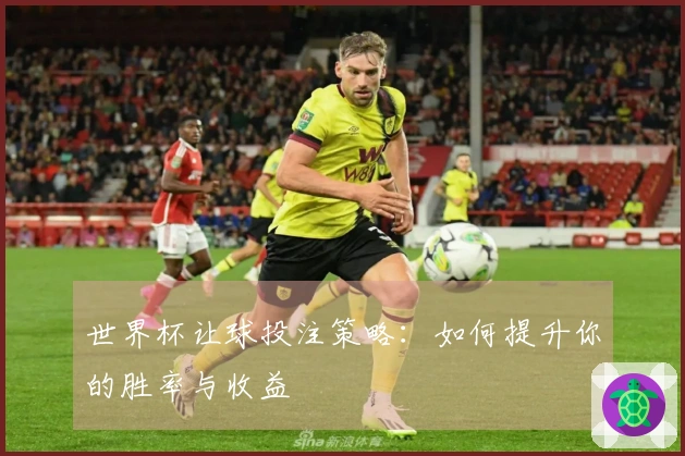 世界杯让球投注策略：如何提升你的胜率与收益