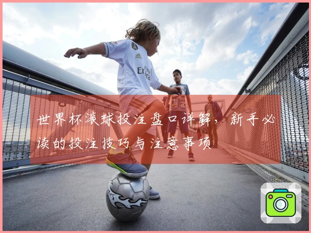 世界杯滚球投注盘口详解，新手必读的投注技巧与注意事项