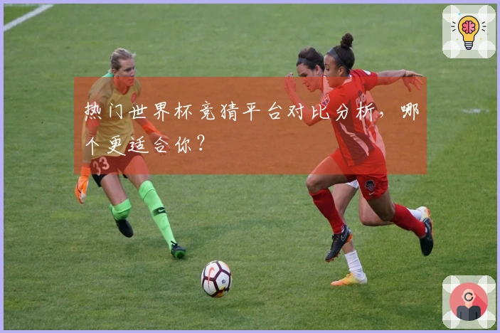 热门世界杯竞猜平台对比分析，哪个更适合你？