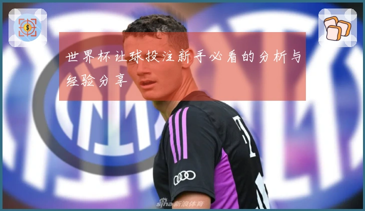 世界杯让球投注新手必看的分析与经验分享