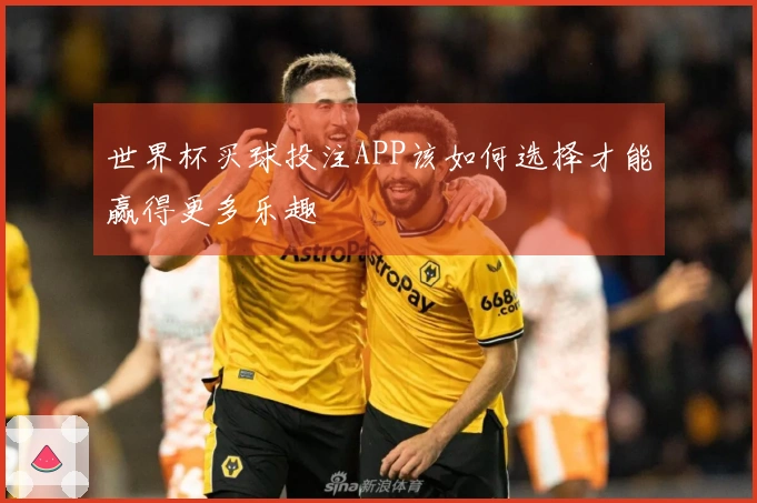 世界杯买球投注APP该如何选择才能赢得更多乐趣