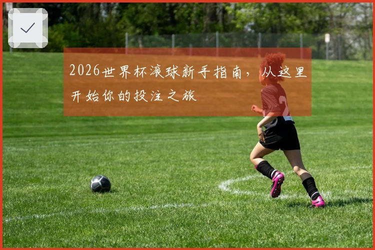 2026世界杯滚球新手指南，从这里开始你的投注之旅