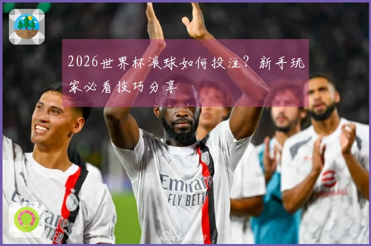 2026世界杯滚球如何投注？新手玩家必看技巧分享