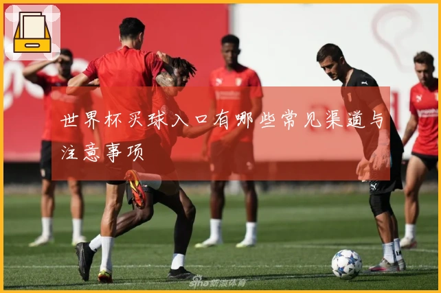 世界杯买球入口有哪些常见渠道与注意事项