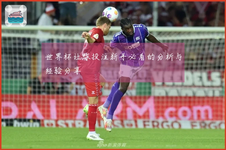 世界杯让球投注新手必看的分析与经验分享