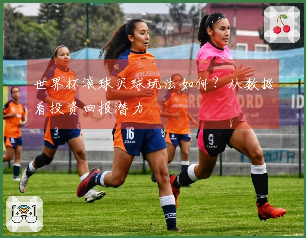世界杯滚球买球玩法如何？从数据看投资回报潜力