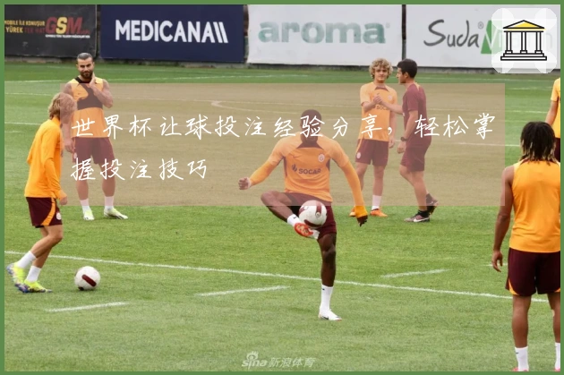 世界杯让球投注经验分享，轻松掌握投注技巧
