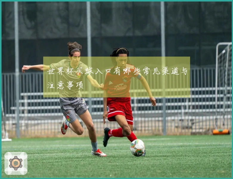 世界杯买球入口有哪些常见渠道与注意事项