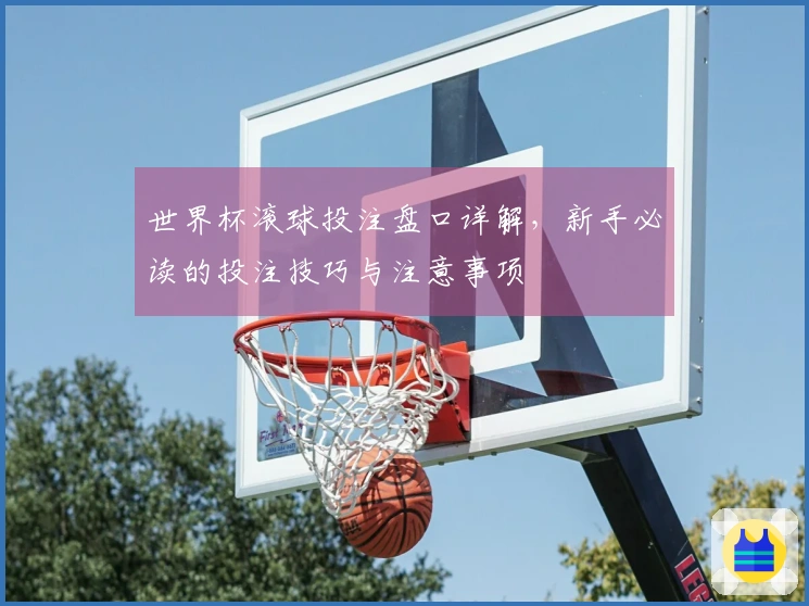 世界杯滚球投注盘口详解，新手必读的投注技巧与注意事项